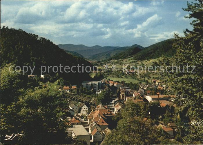 Hornberg Schwarzwald Gesamtansicht