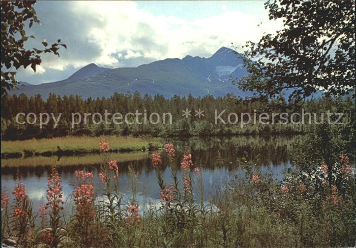 Abisko Mot Istind med Barduelva i forgrunnen