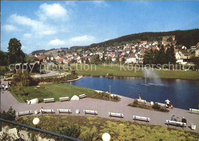 Schonach Schwarzwald Panorama