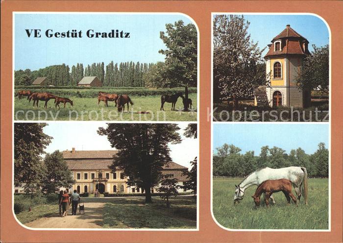 Graditz VE Gestuet Graditz Gutshaus Turm Pferde