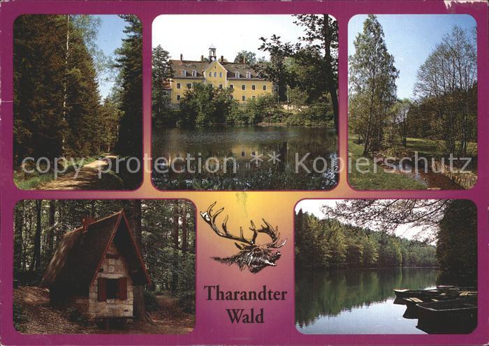 Tharandt Waldweg Schloss Kleines Haeuschen See