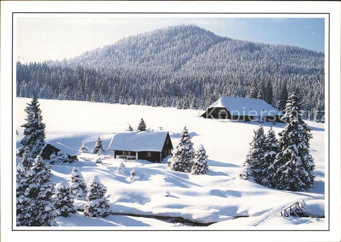 Sumava Czechia Horska Kvilda