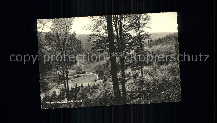 Ehlscheid Weg durch die Landschaft