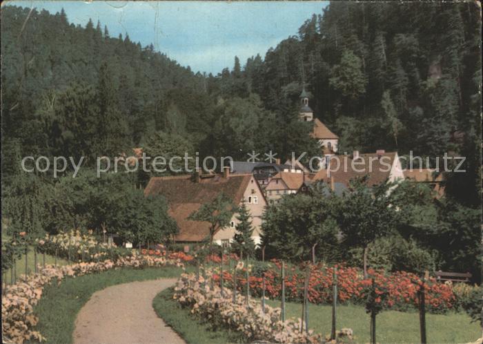 Oybin Sachsen Kurpark