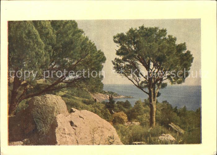 Alupka Ukraine Landschaft Kueste