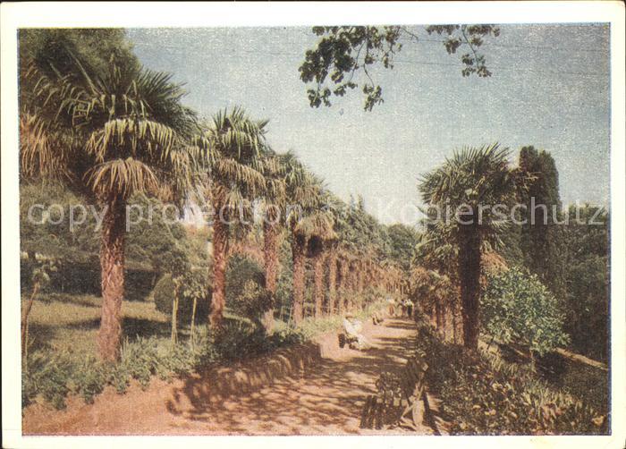 Alupka Ukraine Parkanlagen