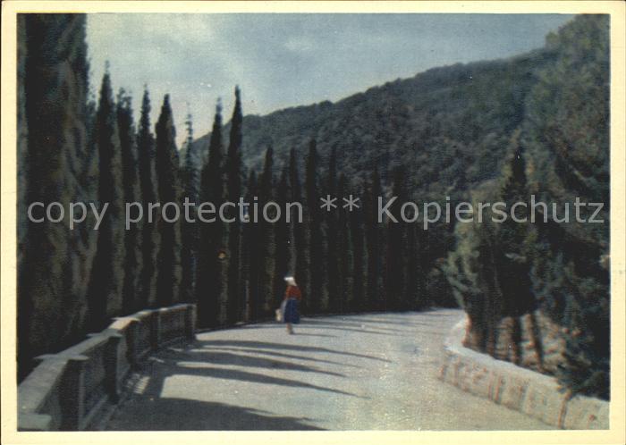 Jalta Yalta Krim Crimea Road to the Kurpaty boarding house