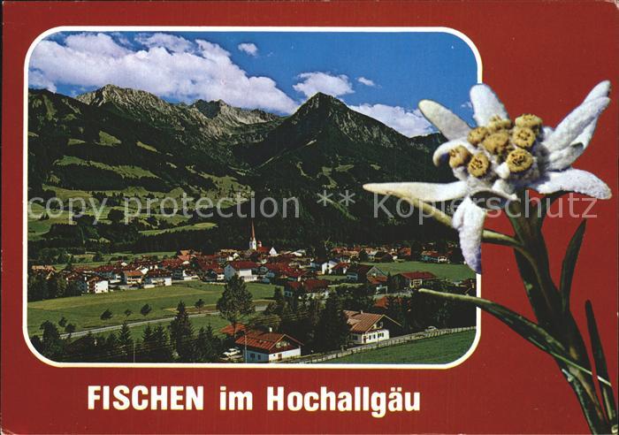 Fischen Allgaeu Gesamtansicht Luftkurort Wintersportplatz Alpenpanorama Edelweis