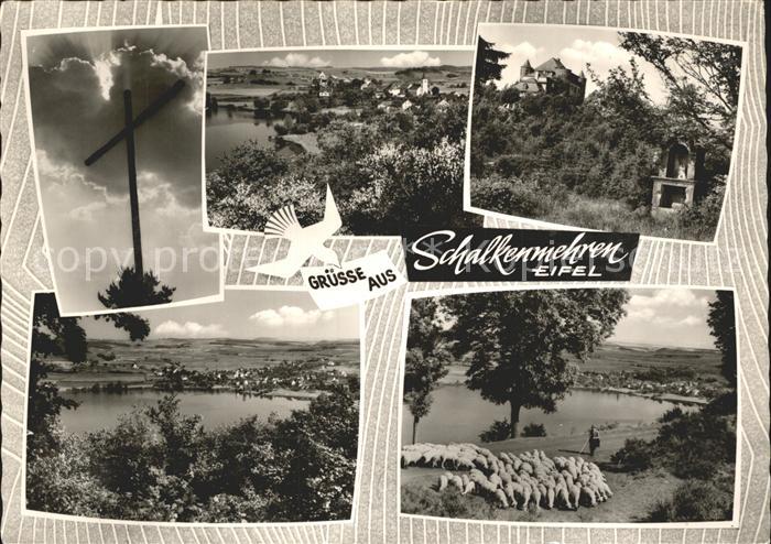 Schalkenmehren mit Moor und Altburg Kreuz Schafherde Briefschwalbe