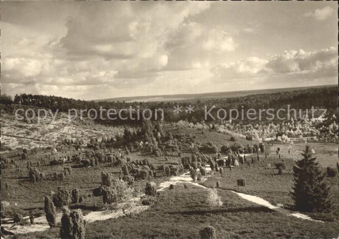 Wilsede Lueneburger Heide Totengrund Landschaft