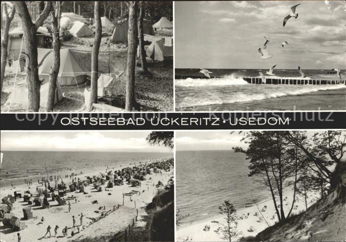 ueckeritz Usedom Campingplatz Strand Moewen Steilkueste