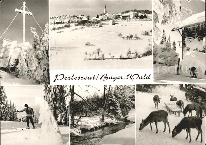 Perlesreut Gipfelkreuz Total Skihuette Bach Wildfuetterung