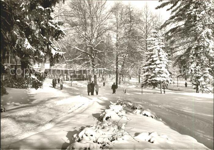 Bad Orb Kurpark im Winter