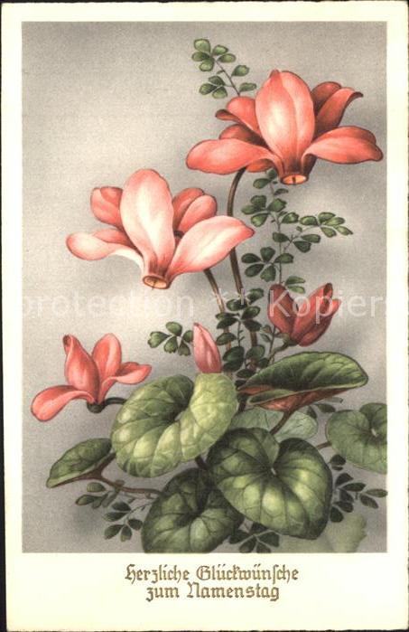 Namenstag Namenskarte Alpenveilchen