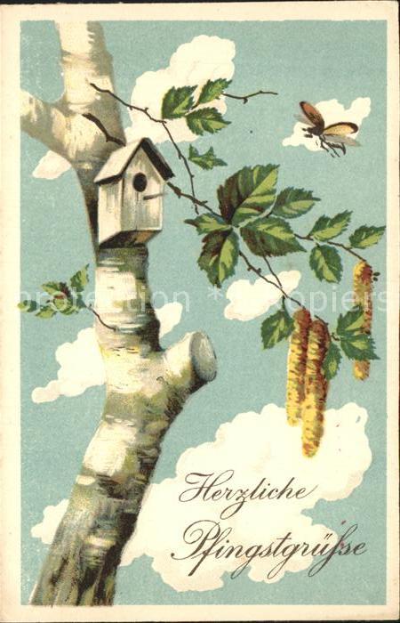 Pfingsten Pentecost Pentecote Baum Vogelhaus Haselkaetzchen Litho