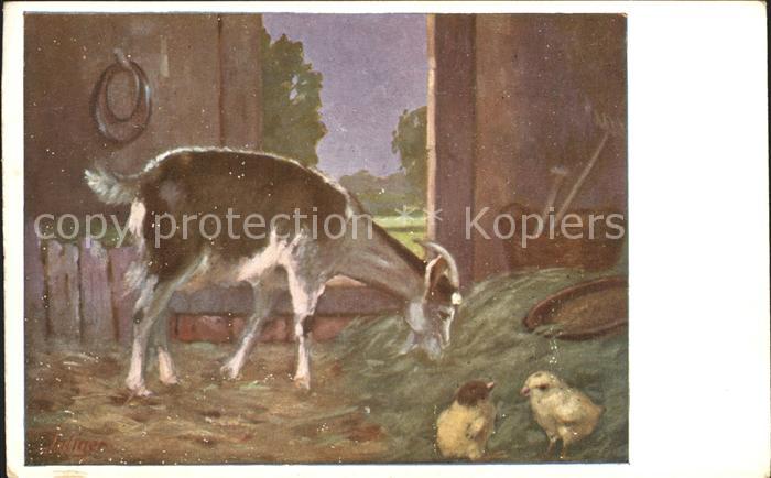 Kuenstlerkarte Saliger Ziege Stall Kueken