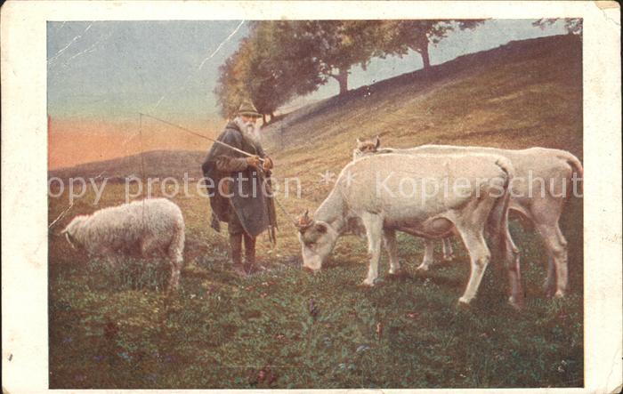 Kuenstlerkarte Jobst Ein Sommermorgen Hirte Kuehe Schaf