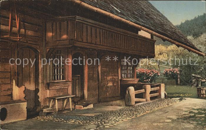 Bauernhaus Papiermühle Bern Goldne Abendsonne