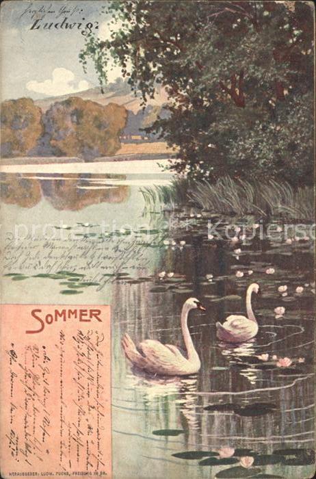Jahreszeiten Sommer Schwaene