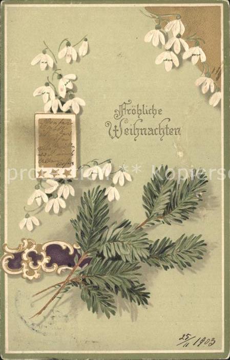 Weihnachten Schneegloeckchen Litho