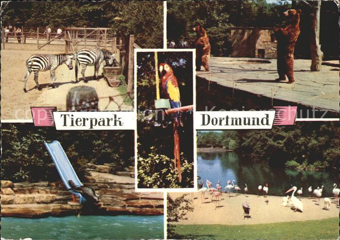 Zoo Tierpark Dortmund Zebra Baer Papagei Pelikane