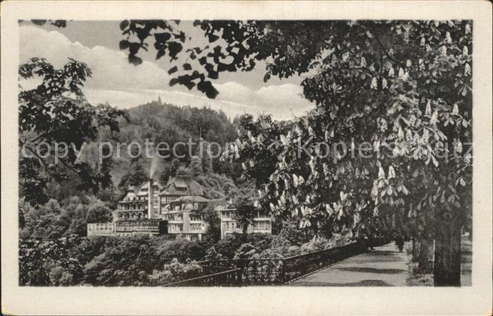 Schwarzburg Thueringer Wald Reichsbahn-Erholungsheim Ernst Thaelmann Schlossterr