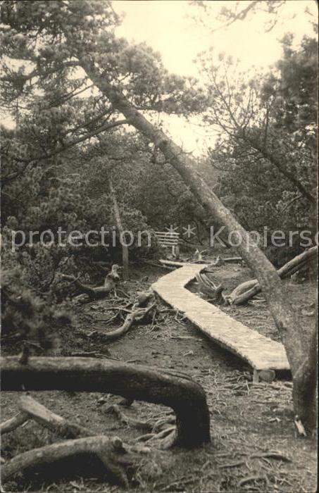 Zinnwald-Georgenfeld Georgenfelder Hochmoor