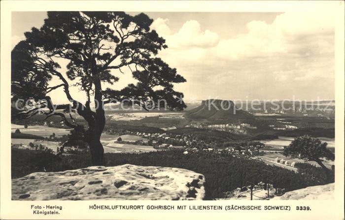 Gohrisch Lilienstein