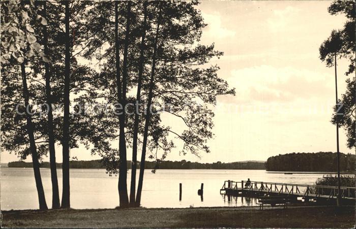 Bad Saarow-Pieskow Schwanenwiese