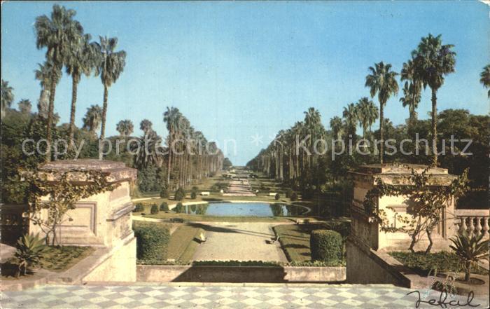 Alger Algerien Jardin Essai