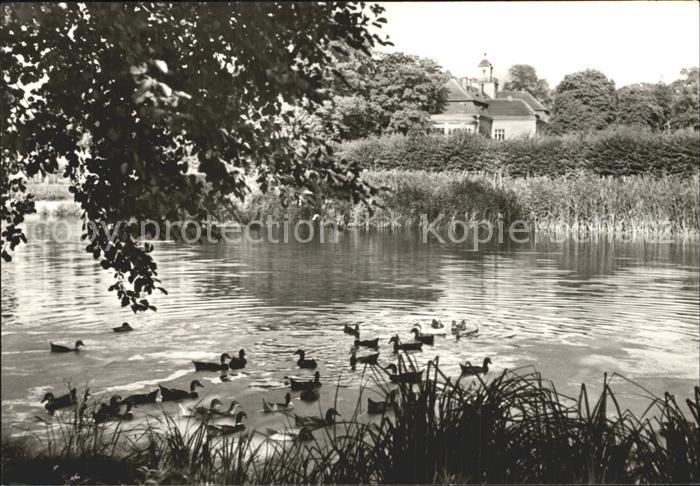 Pulsnitz Sachsen Teich Gebaeude