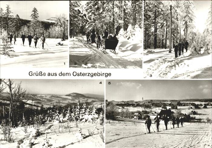 Geising Erzgebirge Pferdeschlittenpartie Kahleberggebiet Zinnwald-Georgenfeld