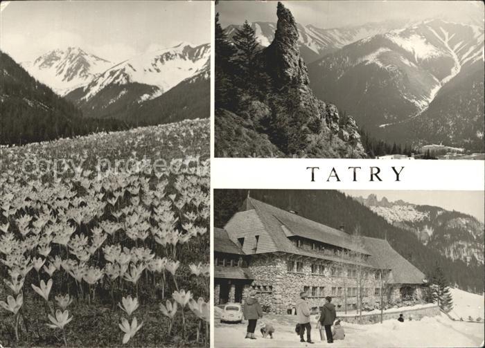 Tatry Zachodnie Dolina Chocholowska Mnichow Chocholowskich