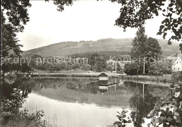 Cunewalde Schwanenteich