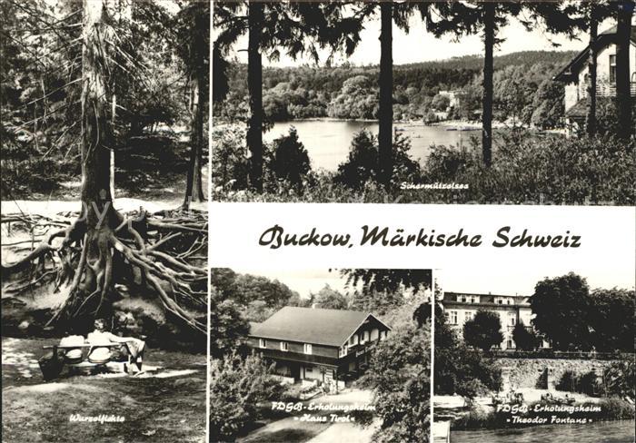 Buckow Maerkische Schweiz Schermuetzelsee Erholungsheim Haus Tirol Wurzelfichte