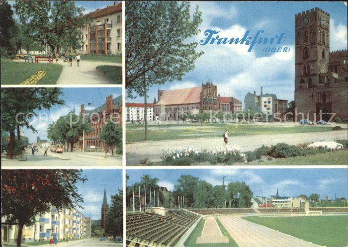 Frankfurt Oder Schulamt Stadion