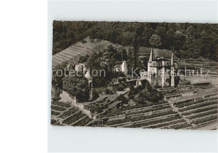 Neustadt Weinstrasse Haardter Schloesschen Fliegeraufnahme