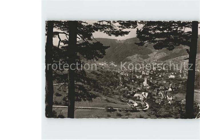 Forbach Baden Murgtal Hotel Friedrichshof