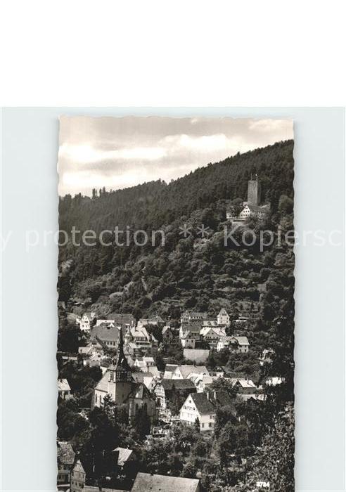 Bad Liebenzell mit Burg Liebenzell