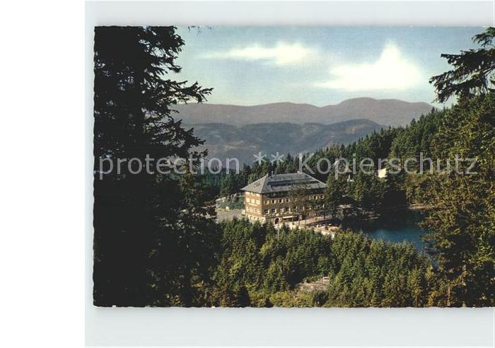 Mummelsee Berghotel Mummelse