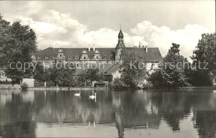 Bad Schmiedeberg Schwanenteich