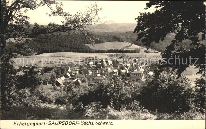 Saupsdorf Totalansicht