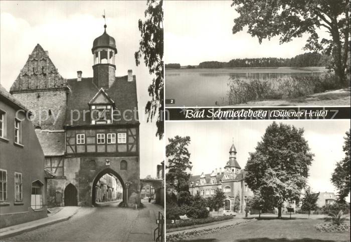 Bad Schmiedeberg Stadttor See Teilansicht