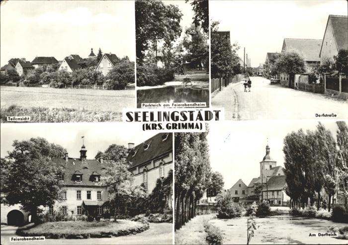 Seelingstaedt Greiz Teilansicht Parktteich Dorfstrasse Feierabendheim Dorfteich