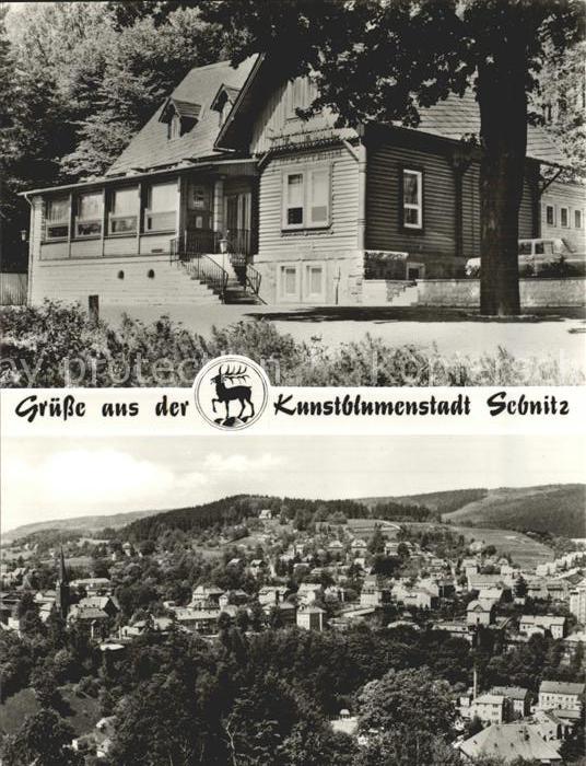 Sebnitz Finkenbaude Stadtblick