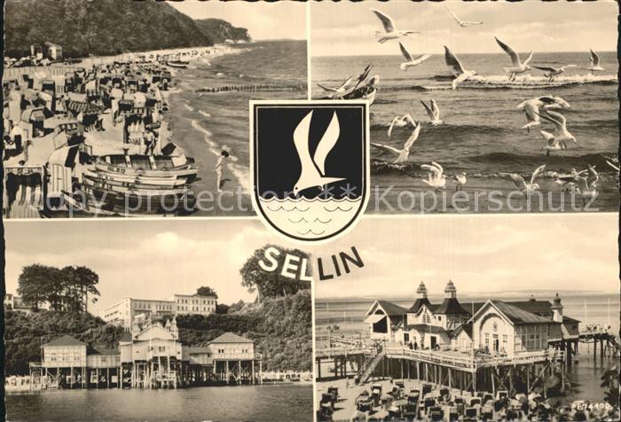 Sellin Ruegen Strand Moewen Seebruecke