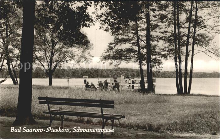 Bad Saarow-Pieskow Schwanenwiese