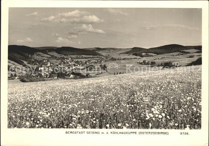 Geising Erzgebirge Bergstadt Kohlhaukuppe