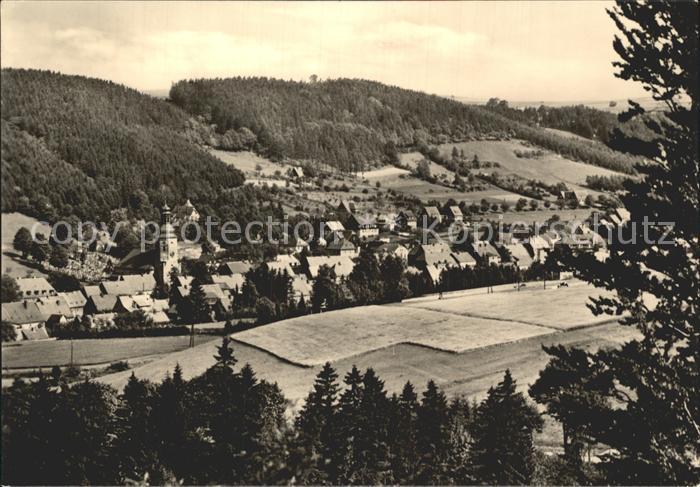 Geising Erzgebirge Teilansicht