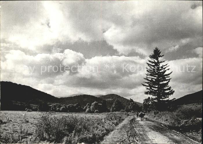 Tschechische Republik Landstrasse